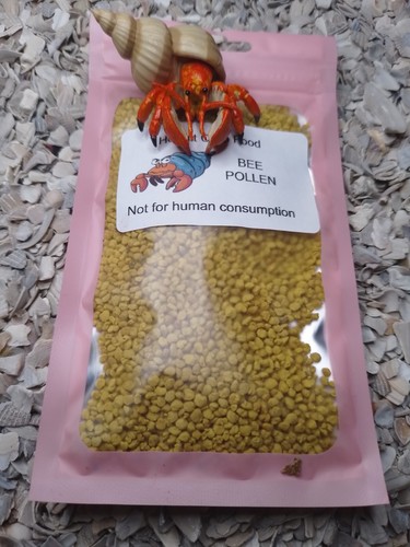 Hermit crab food - hermit,