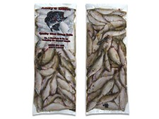 Roach 1kg - 1x packet - Frozen Dead Predator Bait - Fishing Bait