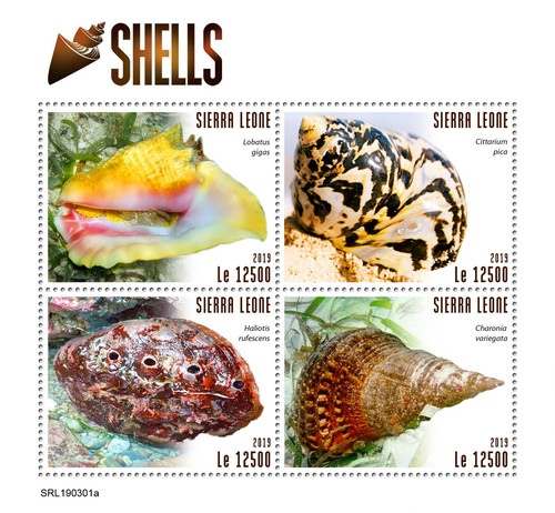 Shells mnh stamps 2019 sierra - shells,