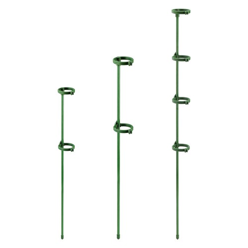The new buckle ring - ring, plant