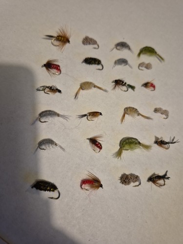 Mixed nymphs shrimps - 24, ×