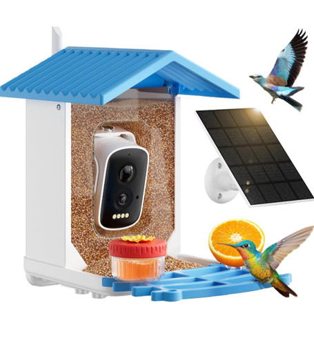 Bird feeder with camera 5k - bird, 2.5k