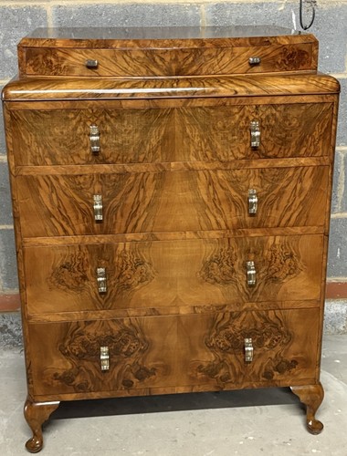 Superb tall walnut - tall,