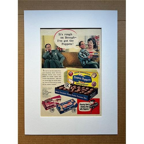 Payne poppets milk - payne's,