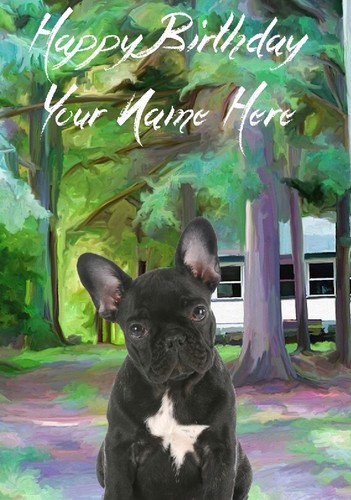 French bulldog pup - french, occasion