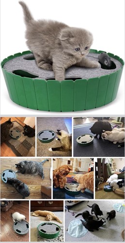 Pawaboo interactive cat toy - toy,