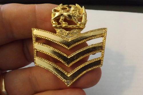 Military badge british south - military,