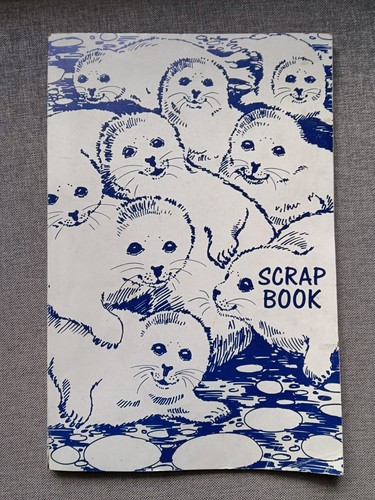 Scrap book double sided - book, double-sided