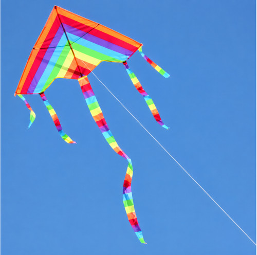 Easy fly parafoil pocket kite - easy,