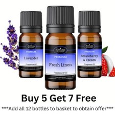 10ML Fragrance Oil - 160+