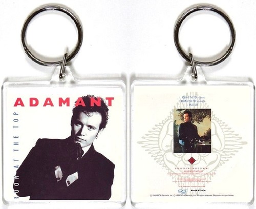 Adam ant room the top - ant,