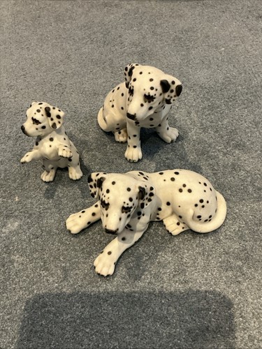 Hhh harvey knox dalmation - harvey,