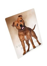 Staffordshire Bull Terrier Dog