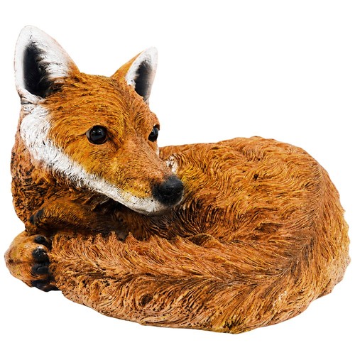 Curled fox garden - up,