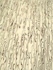 Birch Burl Veneer SaRaiFo Wild