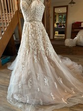 Gorgeous Ian Stuart Rose Pink