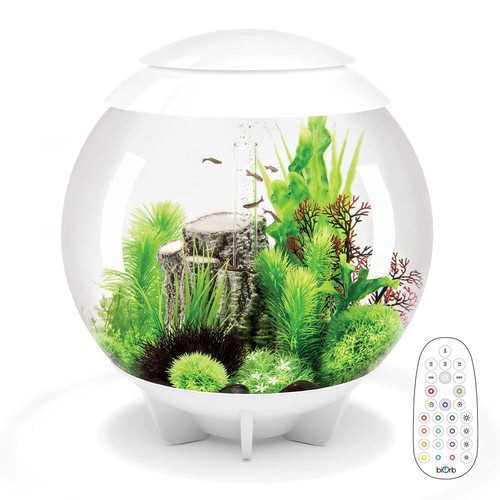 Biorb halo aquarium fish - halo,