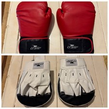 Crane Boxing Gloves and Focus Pad Set Training Kit