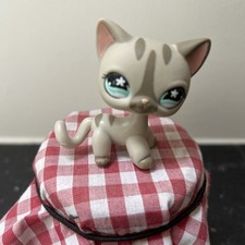 Littlest Pet Shop Cat In Great
