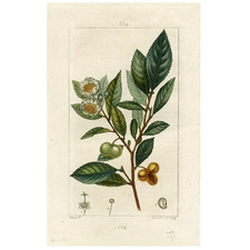 Rare 1814 Turpin Hand-Colored