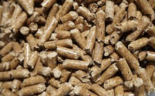 Hardwood Oak Pellets Sawdust for wood-loving mushrooms like LIONS MANE Shiitake