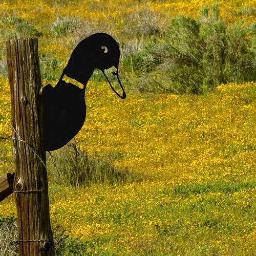 Peeping duck metal art garden - metal,