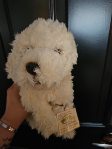 Webkinz signature labradoodle - webkinz,