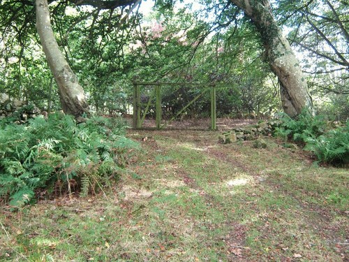 Photo pheasant breeding pen - photo, a2