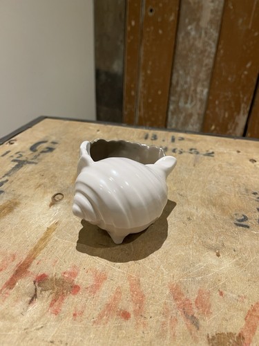 Vintage poole pottery conch - vintage,