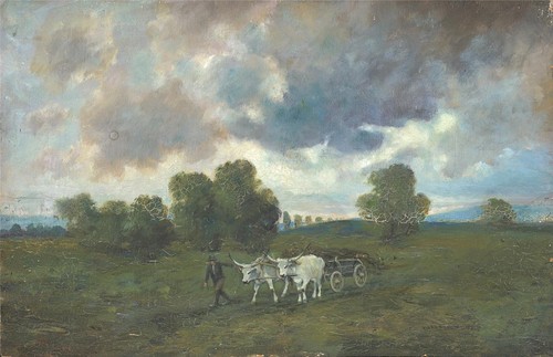 Rural farm scene - rural,