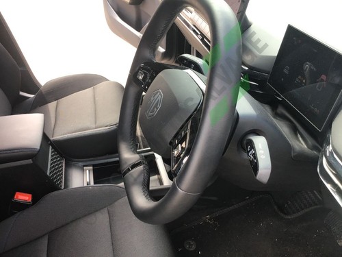 2023 indicator stalk - mg,