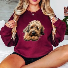 Briard Dog Breed Animals