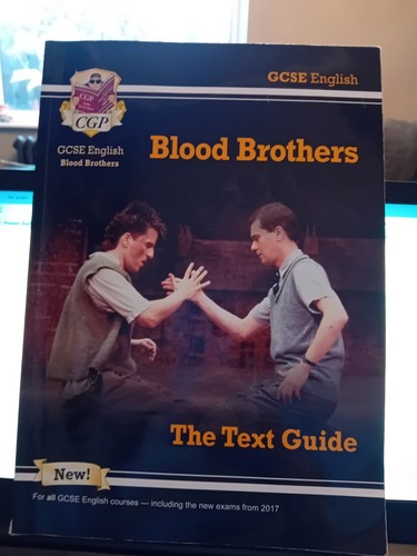 Blood brothers work book