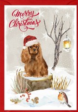 Cavalier King Charles Spaniel