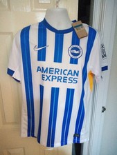  Brighton & Hove Albion 2025