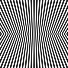 The Vacant Lots Damage Control