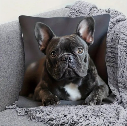 French bull dog cushion cover - french,