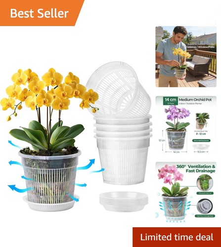 Pack 14cm clear orchid - 6,