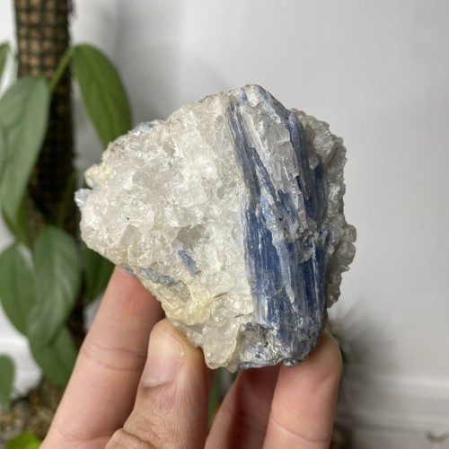Stunning 326g blue kyanite - 326g,