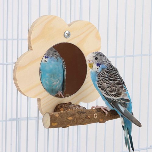 Birdcage stand perch - birdcage,