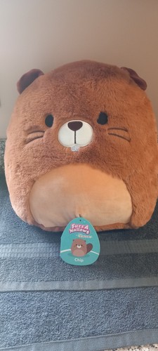 Squishmallow chip beaver - squishmallow,