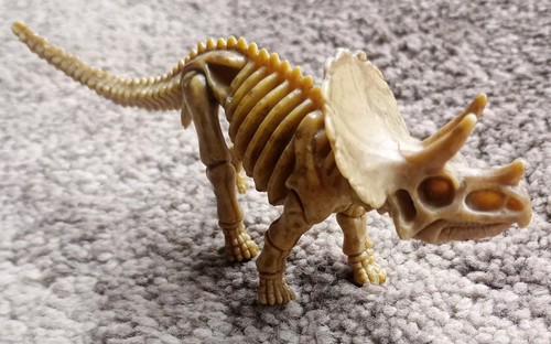 Dino bone fossil triceratops - dino,