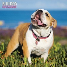 Bulldog 2026 Traditional Calendar