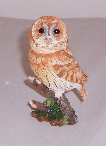 Country artists birds tawny - country,