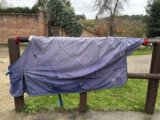 Mark Todd lightweight turnout