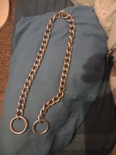 Stainless steel 60mm long - 60mm, dog