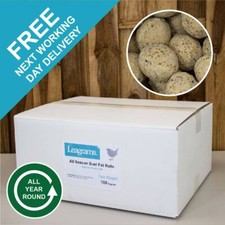 Wild Bird Premium Suet Fat Balls 50 150 300 Tub No Net - Leagrams