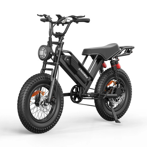 Fat tire electric bike - 20",