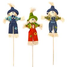 Set of 3 Mr Scarecrow Picks