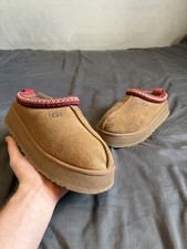 Chestnut ugg tasmans - ugg,